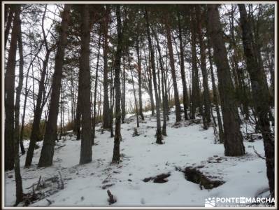 Hayedo de Montejo - Cuerda de la Pinilla; mapas gps senderismo; accesorios para senderismo